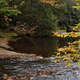 Illustration for article titled Fall Photos 2